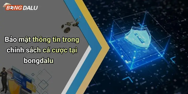 Bảo mật thông tin trong chính sách cá cược tại bongdalu