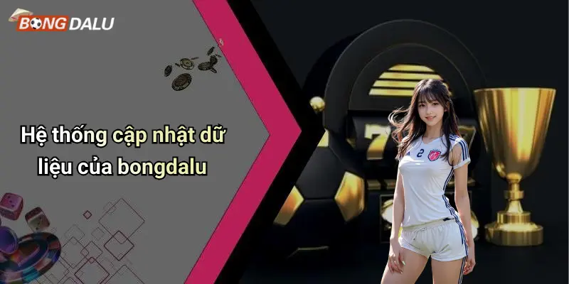 Hệ thống cập nhật dữ liệu của bongdalu