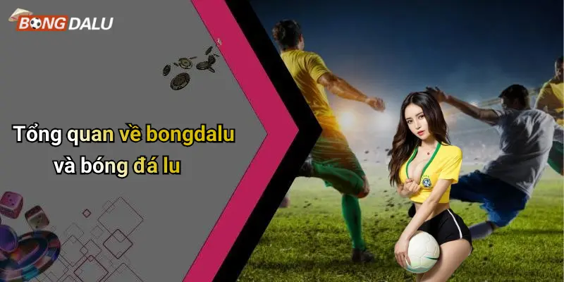 Tổng quan về bongdalu và bóng đá lu
