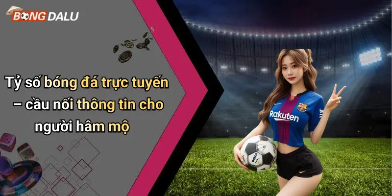 Tỷ số bóng đá trực tuyến – cầu nối thông tin cho người hâm mộ