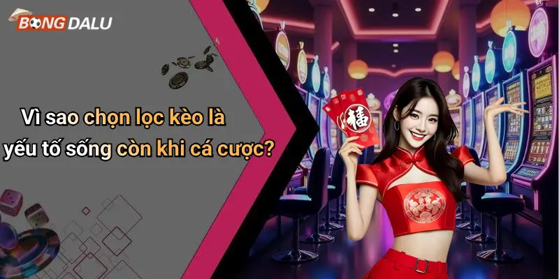 Vì sao chọn lọc kèo là yếu tố sống còn khi cá cược?