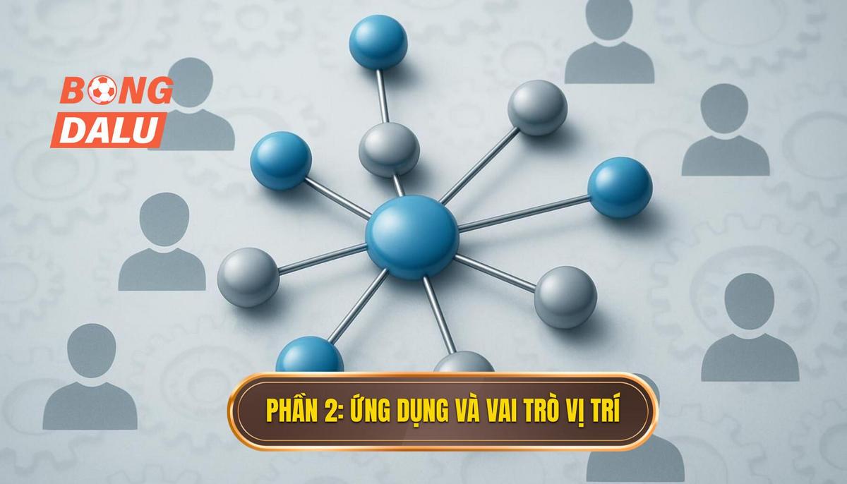 Phần 2_ Ứng Dụng Thực Tiễn và Vai Trò Vị Trí