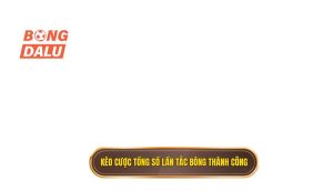Kèo cược tổng số lần tắc bóng thành công