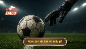 Mẹo cá cược kèo rung hiệp 1 hiệu quả