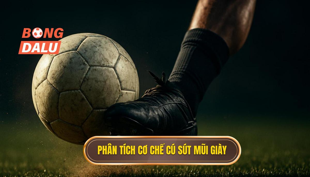 Phân Tích Cơ Chế Hoạt Động Của Cú Sút Mũi Giày