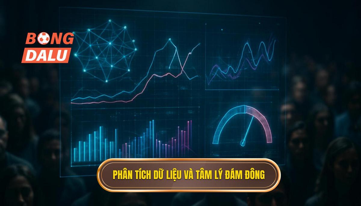 Phân tích dữ liệu thực tế và tâm lý đám đông