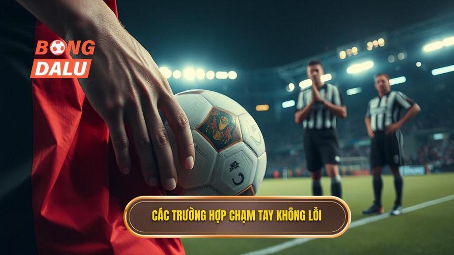 2. Các trường hợp chạm tay không lỗi