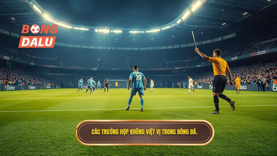 2. Các trường hợp không việt vị trong bóng đá.